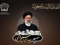 پیام تسلیت مدیر عامل شرکت پتروشیمی مروارید در پی شهادت رئیس جمهور کشور