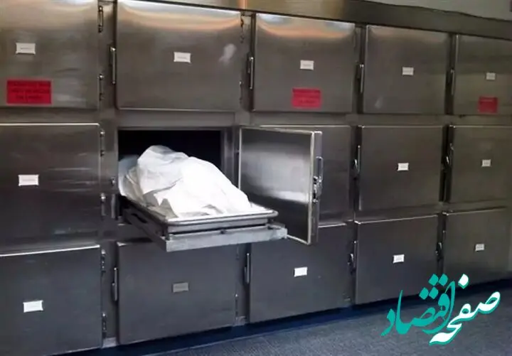 ماجرای عجیب ارسال عکس جسد زن برای شوهرش / 
زن جوان کشته شده یا ربوده شده ؟