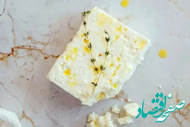 پنیر الاغ طلای سفید سفره ثروتمندان