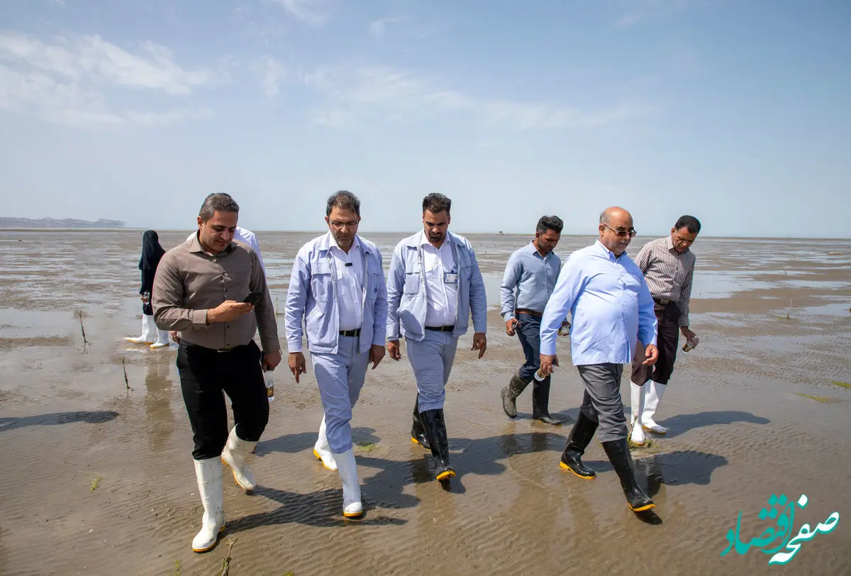 پایش حرا کاری های شرکت نفت ستاره خلیج فارس در سواحل خلیج فارس