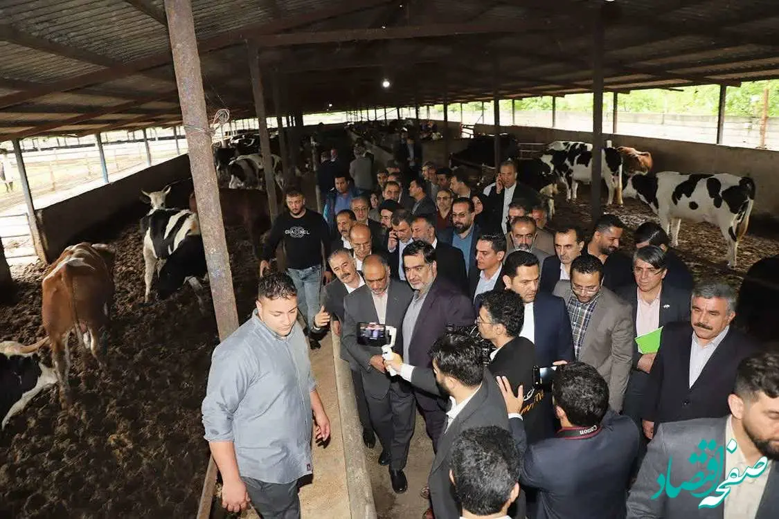 هدف؛ تولید یکنواخت و صادرات پایدار است