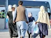 واکنش ها به انتشار عکسی درباره معذوریت برای ارائه خدمات به اتباع افغان