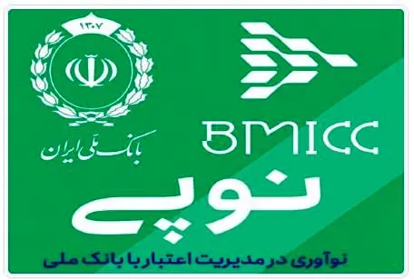نوپی؛ گامی نو در توسعه خدمات بانکداری خرد و پرداخت های اعتباری بانک ملی ایران
