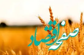 نرخ ۲۰ هزار تومانی برای سال زراعی آینده مصوب می‌شود؟| لزوم حمایت دولت از کشاورزان برای آغاز کشت بعدی