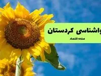 پیش بینی وضعیت آب و هوا کردستان فردا چهارشنبه ۲۴ تیر ۱۴۰۵