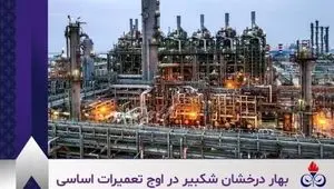تحقق سود خالص ۱۵۹ درصدی و جهش ۳۰ درصدی درآمد فروش