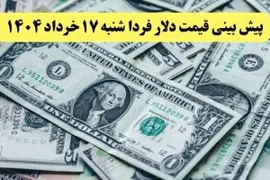 پیش بینی قیمت دلار فردا شنبه ۱۷ خرداد ۱۴۰۴ | کدام ارزها فردا صعود می کنند؟ 