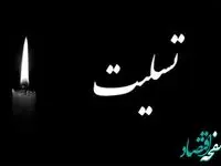 پیام تسلیت مدیرعامل بانک ملت در پی شهادت زائران مزار سردار دلها