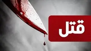 عاملان فراری درگیری مسلحانه منجر به قتل در کوهدشت دستگیر شدند