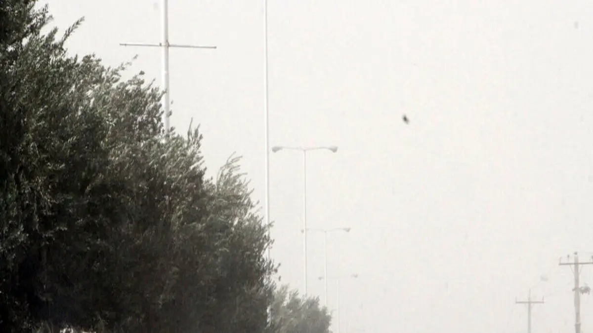 تهران آماده باش فوری شد؛ آخرین امار مصدومان طوفان شب گذشته در تهران 