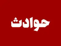 کاراگاه بازی این زن مرد شیاد را به دام انداخت ؛ خواهرزاده ام را طعمه قرار دادم تا مرد شیاد به دام بیفتد + جزئیات 