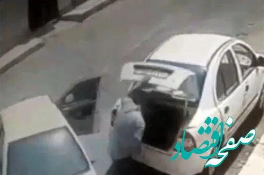 وقتی تیبا حسابی سارقان حرفه‌ای را به غافلگیر کرد! 