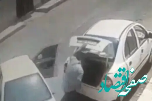 وقتی تیبا حسابی سارقان حرفه‌ای را به غافلگیر کرد! 