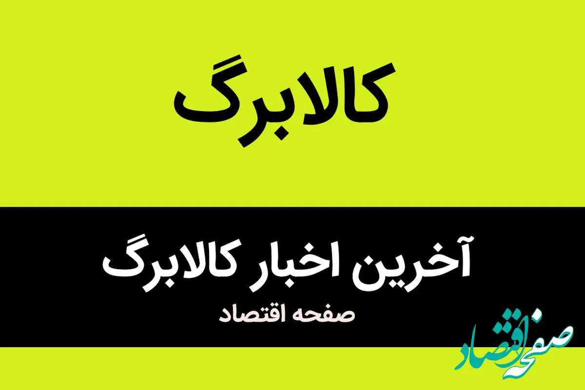 متقاضیان کالابرگ الکترونیکی این خبر را بخوانید / حساب این دهک ها زودتر شارژ میشود