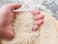 شرط وزارت جهادکشاورزی برای واردات برنج چیست؟