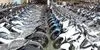 قیمت روز موتورسیکلت‌های پرطرفدار بازار ایران؛ از ۲۳۷ میلیون تا بیش از یک میلیارد تومان