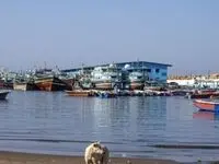  نخستین کشتی تجاری در چابهار پهلو گرفت