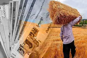 آخرین خبر از پرداخت مطالبات گندم‌کاران امروز پنجشنبه ۱۱ تیر ۱۴۰۵