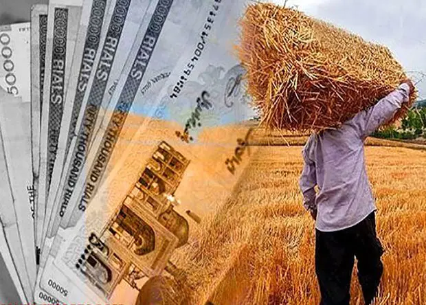 آخرین خبر از پرداخت مطالبات گندم‌کاران امروز پنجشنبه ۱۱ تیر ۱۴۰۵