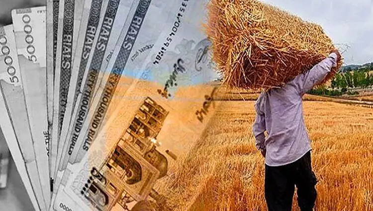 آخرین خبر از پرداخت مطالبات گندم‌کاران امروز پنجشنبه ۱۱ تیر ۱۴۰۵