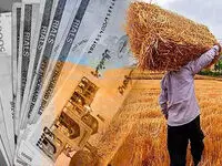 آخرین خبر از پرداخت مطالبات گندم‌کاران امروز پنجشنبه ۱۱ تیر ۱۴۰۵