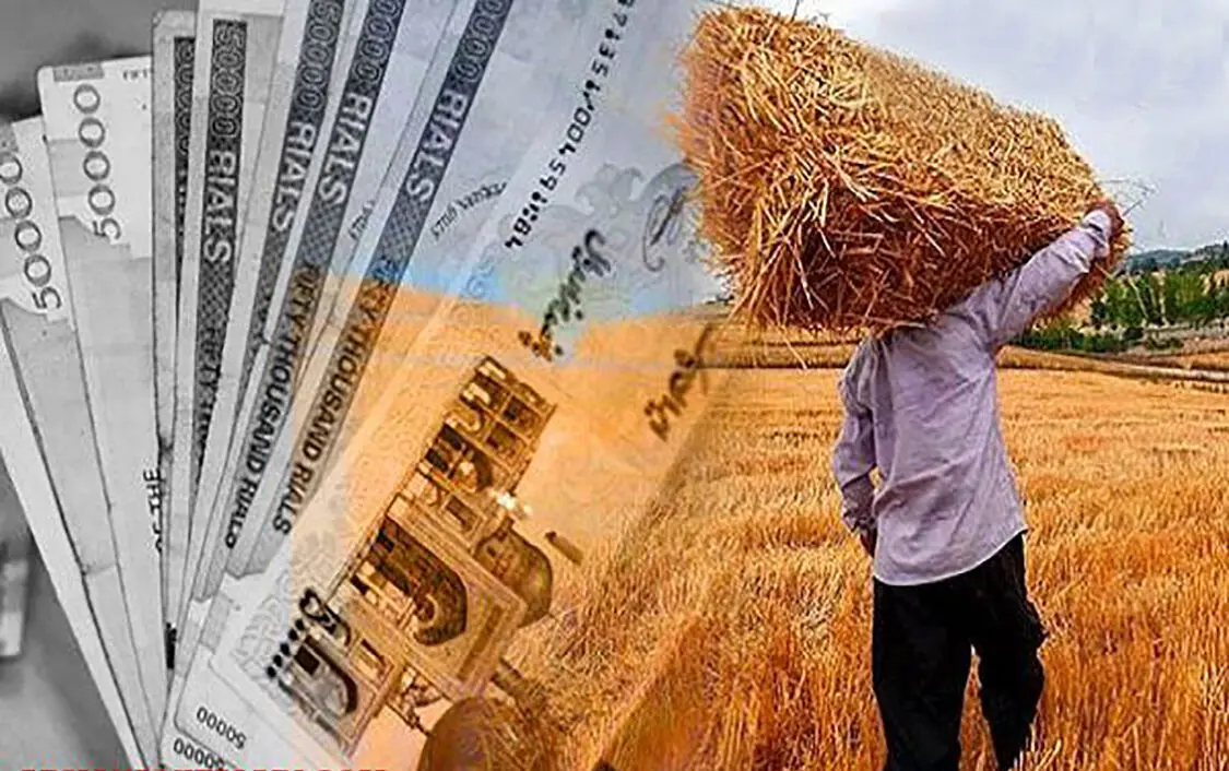 آخرین خبر از پرداخت مطالبات گندم‌کاران امروز پنجشنبه ۱۱ تیر ۱۴۰۵
