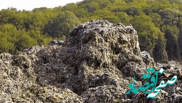 استرالیا بدون سوخت زیر زباله دفن خواهد شد