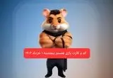 کد مورس و کارت‌ همستر پنجشنبه ۱ خرداد ۱۴۰۴