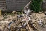 جزئیات جدید از سیل گلستان اعلام شد