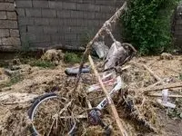 جزئیات جدید از سیل گلستان اعلام شد