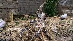 جزئیات جدید از سیل گلستان اعلام شد