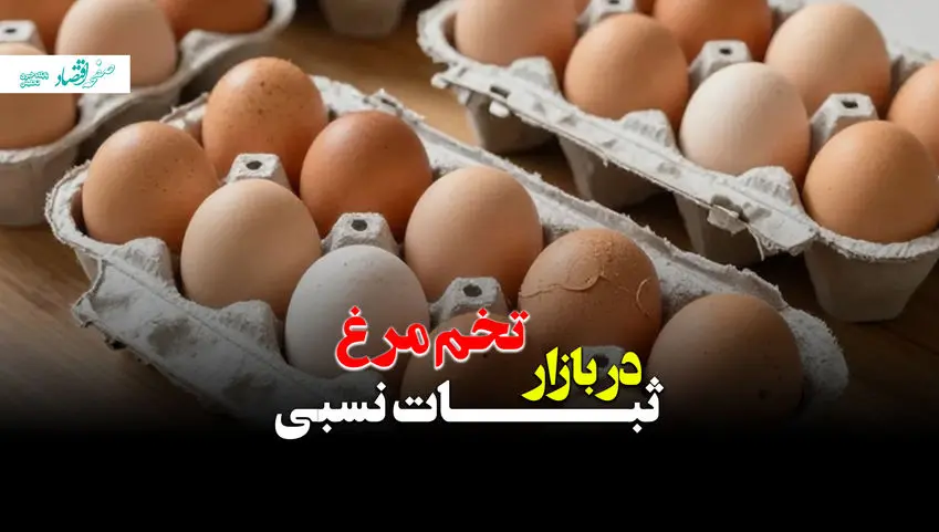 قیمت تخم مرغ در بازار ثباتی نسبی + ویدئو