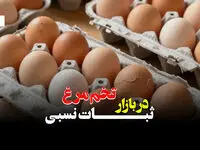 قیمت تخم مرغ در بازار ثباتی نسبی + ویدئو