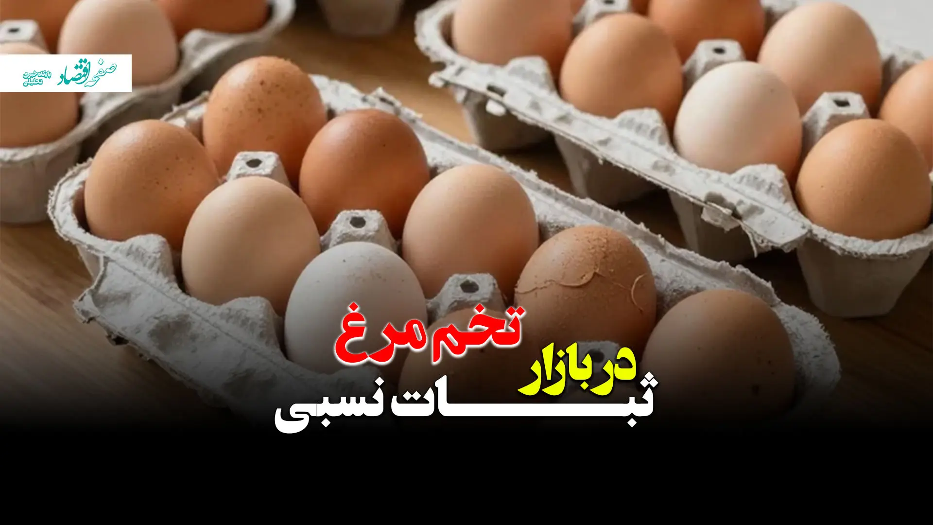 قیمت تخم مرغ در بازار ثباتی نسبی + ویدئو