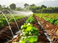 هر حکومتی براساس امنیت غذایی عمل نکند به طور حتم آسیب خواهد دید