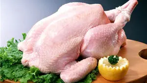 قیمت مرغ، امروز چهارشنبه ۱۲ اردیبهشت ماه ۱۴۰۳ | مرغ کیلویی چند؟ 