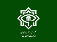 خبر فوری از شناسایی و بازداشت ۳۰ جاسوس دشمن آمریکایی- اسرائیلی