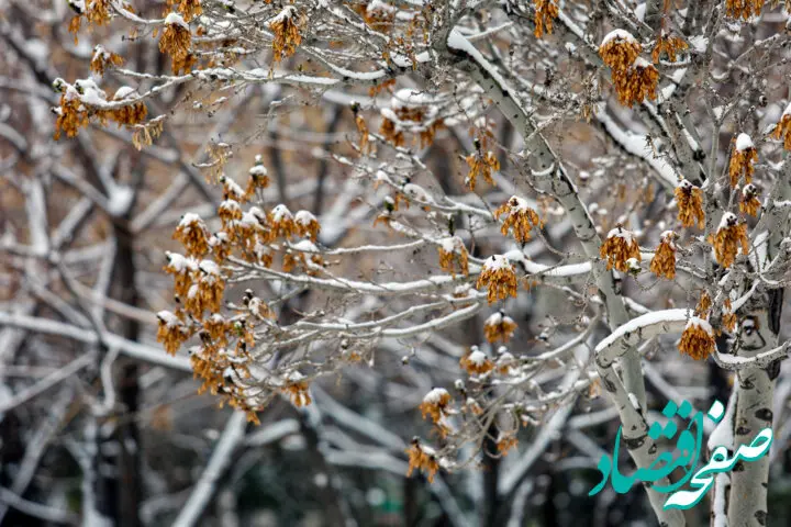 هواشناسی زنجان ۲۴ ساعت آینده | پیش بینی وضعیت آب و هوا زنجان فردا یکشنبه ۲۵ آذر ماه ۱۴۰۳