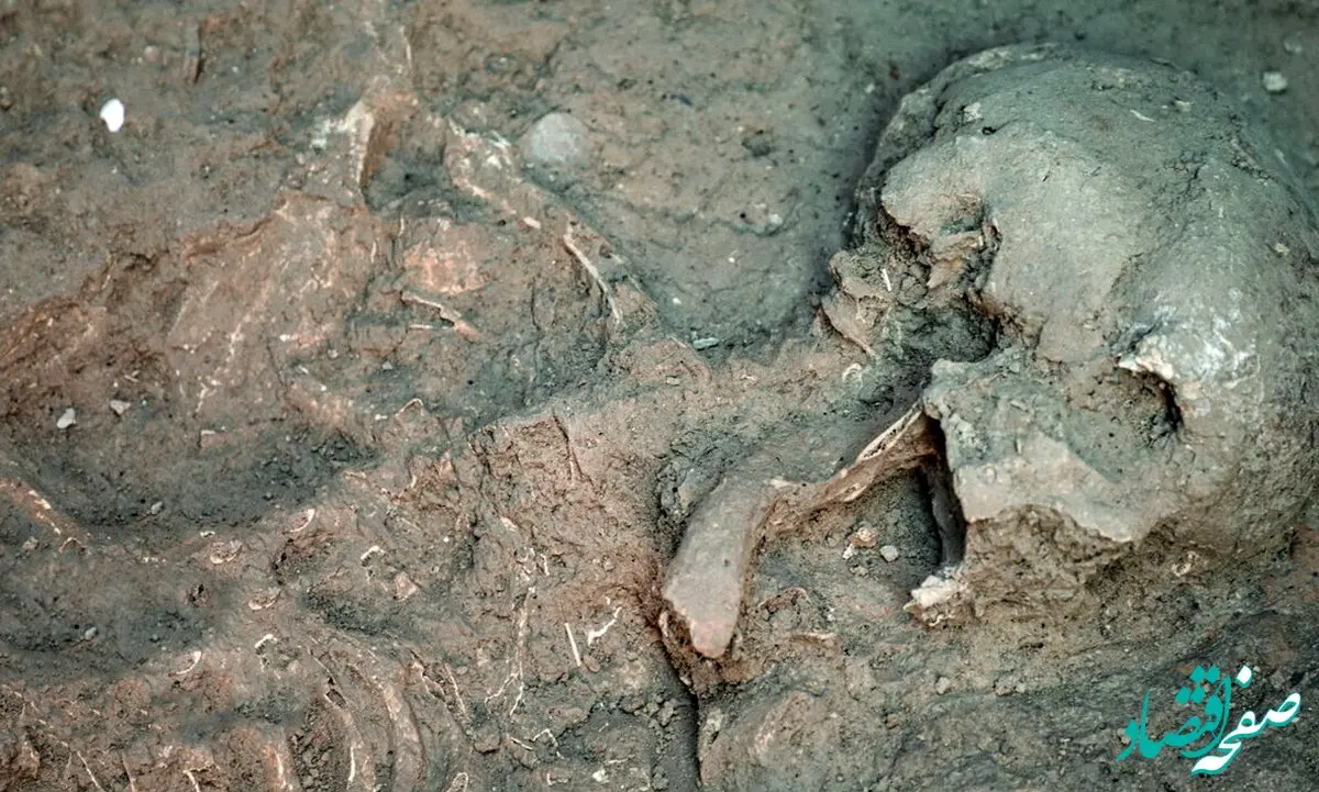 راز کشف اسکلت پایین تنه یک زن در جنوب تهران چیست ؟ + جزئیات 