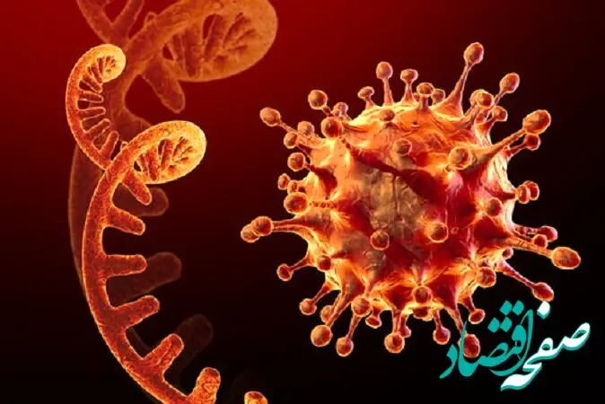 خبر فوری: شیوع مجدد کرونا در کشور | هشدار مهم: این کرونا خطرناک تر است