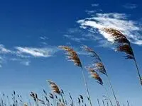 پیش بینی وضعیت آب و هوا فردا دوشنبه ۲۲ تیر ۱۴۰۵ اعلام شد