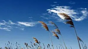 پیش بینی وضعیت آب و هوا فردا دوشنبه ۲۲ تیر ۱۴۰۵ اعلام شد