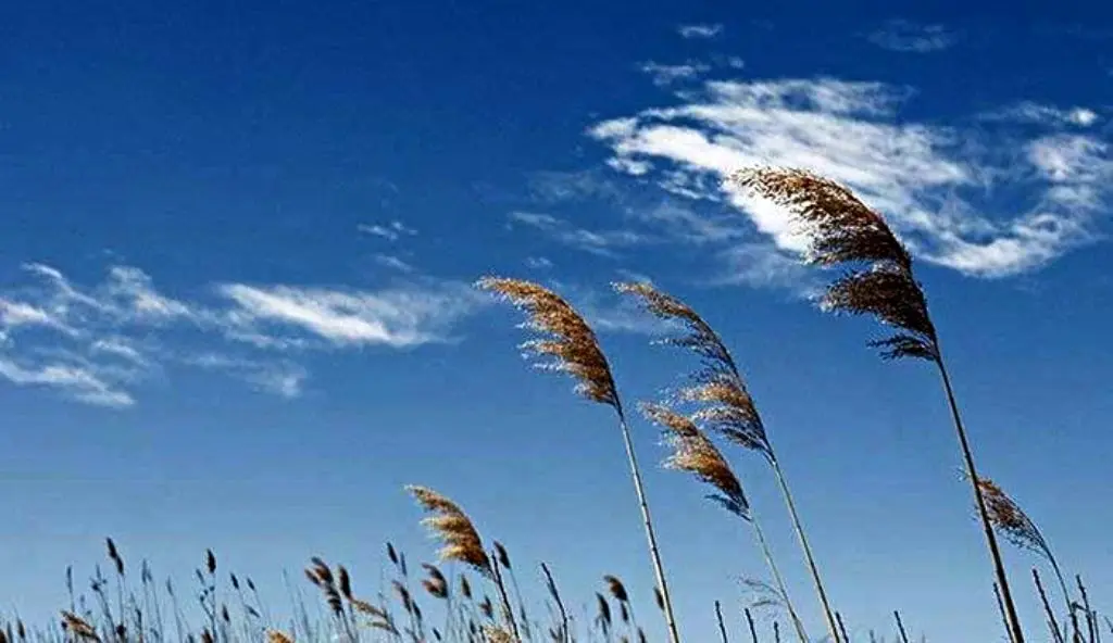 پیش بینی وضعیت آب و هوا فردا دوشنبه ۲۲ تیر ۱۴۰۵ اعلام شد