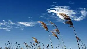 پیش بینی وضعیت آب و هوا فردا دوشنبه ۲۲ تیر ۱۴۰۵ اعلام شد