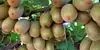 صادرات کیوی آزاد شد
