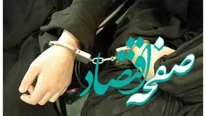دستگیری همسر متهم اصلی پرونده رضایت خودرو