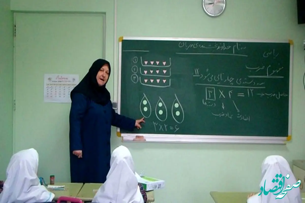 این دانشجو معلم به خاطر نگهداری از گربه رد شدند /جریمه میلیونی در انتظار این معلمان 