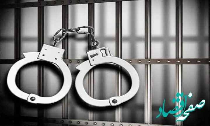 ماجرای شناسایی یک هسته ضد امنیتی در قرچک و دستگیری ۷ نفر چه بود؟ 