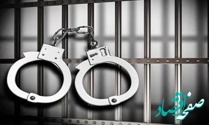 ماجرای شناسایی یک هسته ضد امنیتی در قرچک و دستگیری ۷ نفر چه بود؟ 