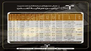 تنوع مدیریت دارایی در صندوق‌های تأمین سرمایه تمدن